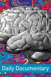 DMT: The Spirit Molecule (2010) [multi subs]