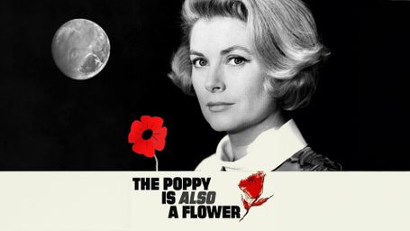 The Poppy Is Also a Flower