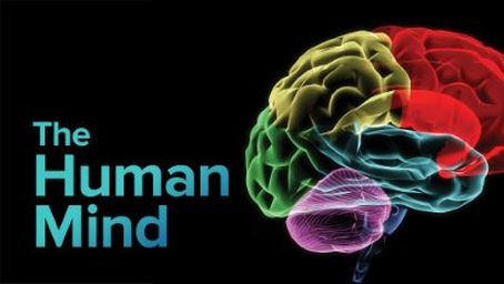 Origins of the Human Mind
