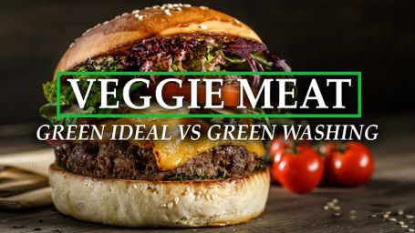 Veggie Meat: Green Ideal vs. Green Washing