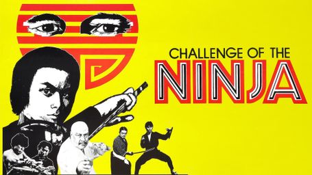 Challenge of the Ninja