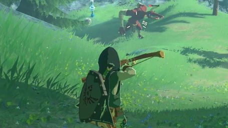 The Legend of Zelda: Breath of the Wild Gameplay - Zebra Gamer