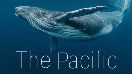 The Pacific