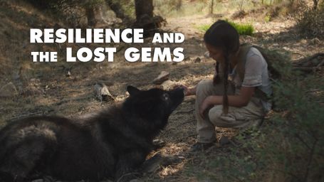 Resilience and the Lost Gems