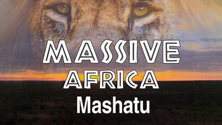 Massive Africa: Mashatu