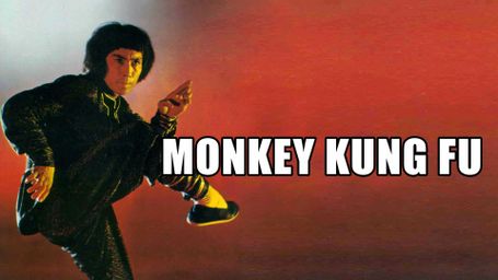 Monkey Kung Fu