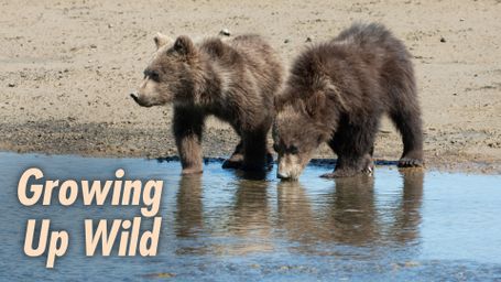 Growing Up Wild