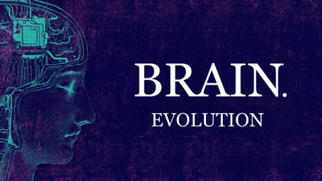 Brain. Evolution