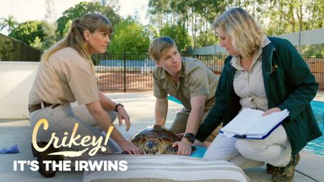 Crikey! It's the Irwins