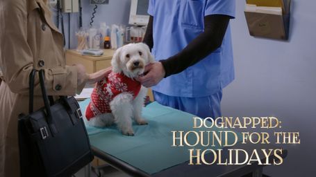 Dognapped: Hound for the Holidays