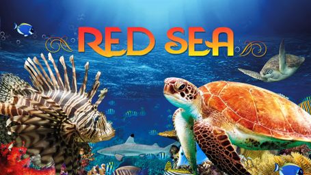 Red Sea