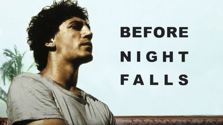 Before Night Falls