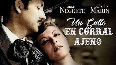 Un Gallo en Corral Ajeno