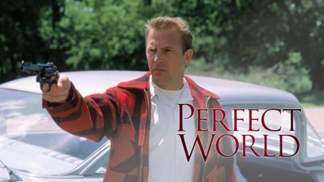 A Perfect World