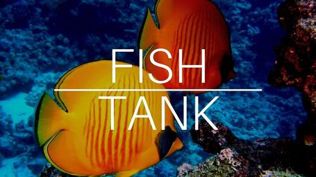 Fish Tank