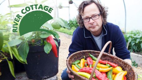River Cottage