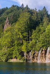 Combining the soothing sounds of falling water and birdsongs with ambient music
