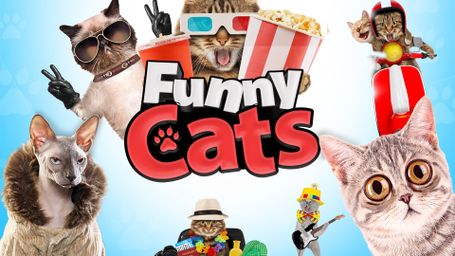 Funny Cats