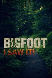 Bigfoot: I Saw It!
