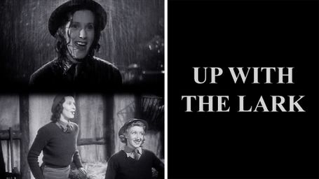 Up with the Lark