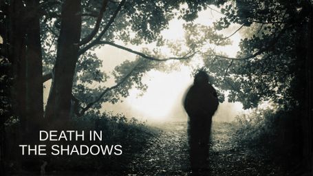 Death in the Shadows