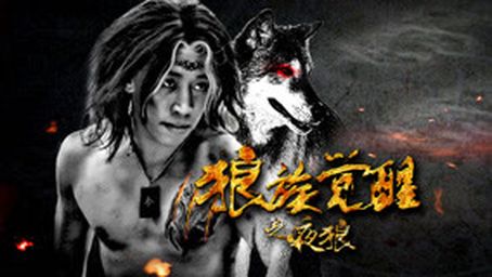 Wolf Awakening Night Wolf