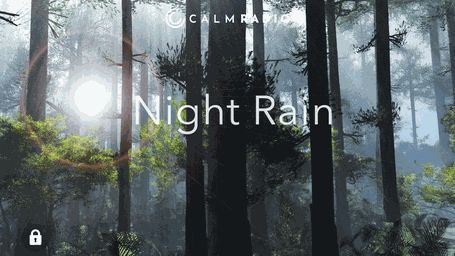NIGHT RAIN