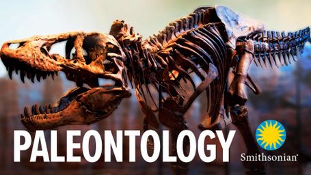 Introduction to Paleontology