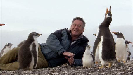 An Antarctic Voyage