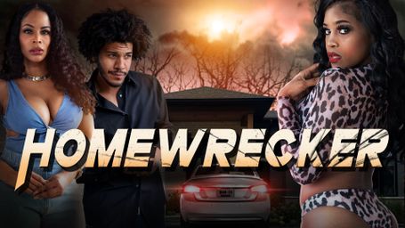 Homewrecker