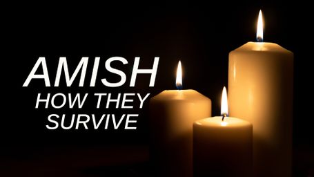 Amish: How They Survive