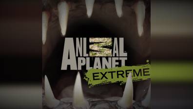 How to watch and stream Animal Planet: Extreme - 2011-2014 on Roku