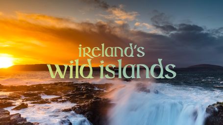 Ireland's Wild Islands