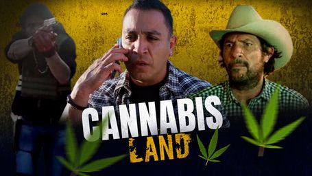 Cannabis Land
