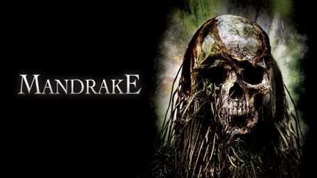 Mandrake