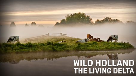 Wild Holland - The Living Delta