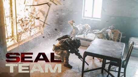SEAL Team