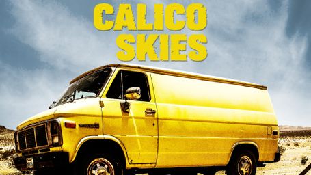 Calico Skies