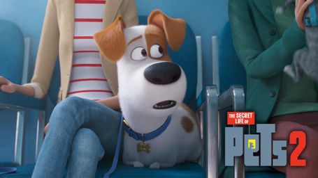 The Secret Life of Pets 2