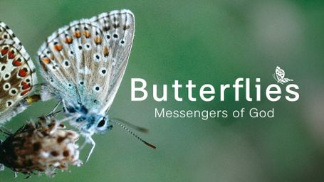 Butterflies - Messengers of God