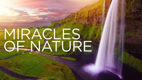 Miracles of Nature