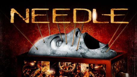 Needle