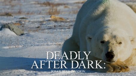 Deadly After Dark: Polar Bear Invasion