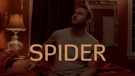 Spider