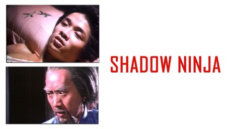 Shadow Ninja
