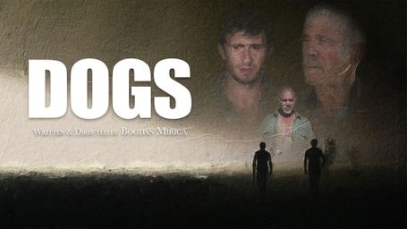 Dogs