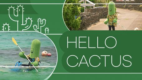 Hello Cactus