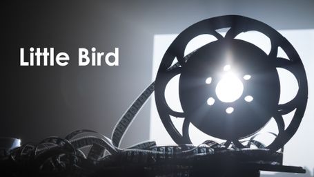 Little Bird
