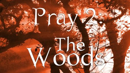 Pray 2: The Woods