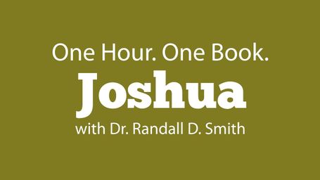 One Hour. One Book: Joshua (Bible Study)